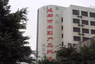 城市變遷的見證 五塊石客運站再會，班線調遷與商品批發貿易新篇章